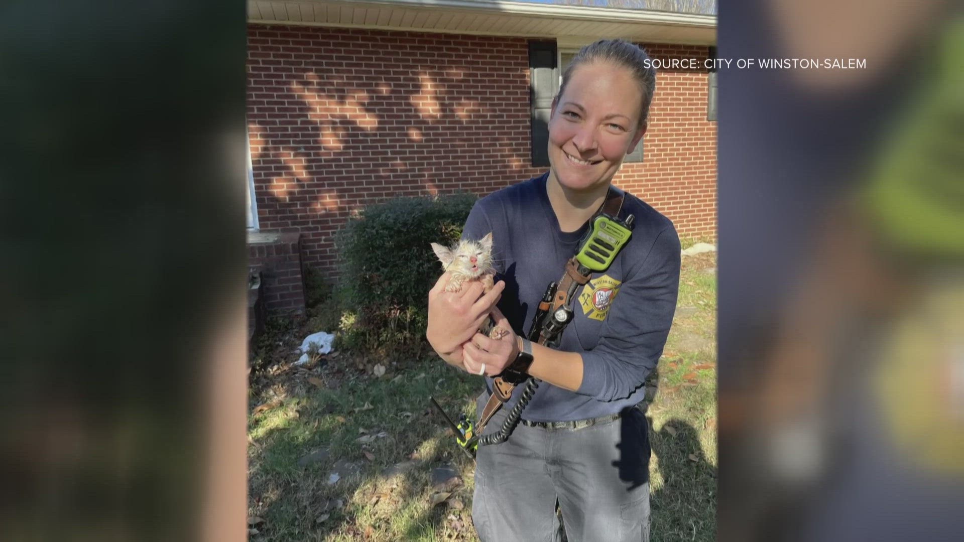 Winston-Salem firefighters and Forsyth County Sheriff’s Deputies teamed up for a kitten rescue!