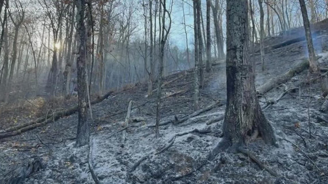 Pilot Mountain wildfire caused by campfire - Vimarsana News