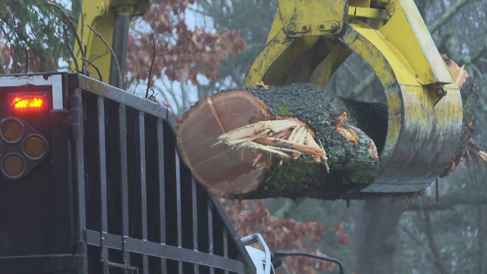 A tree nearly collapsed onto a man’s home.