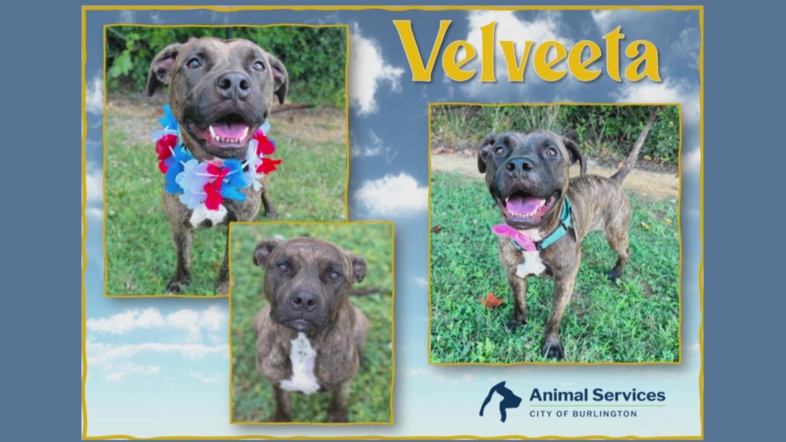 2 the rescue Meet Velveeta