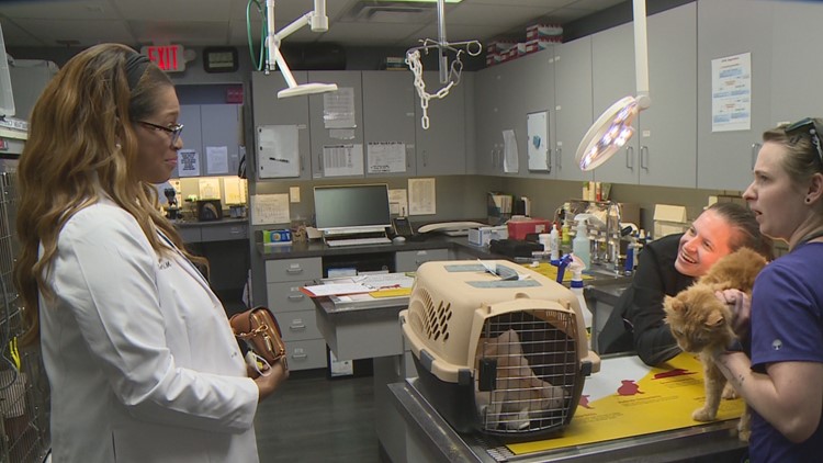 Greensboro native returns home years later as High Point Animal Hospital Veterinarian