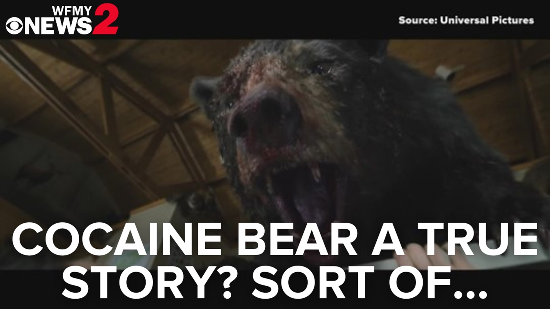 News 2’s Manning Franks reviews ‘Cocaine Bear.’ The movie is based on a true story. Really!