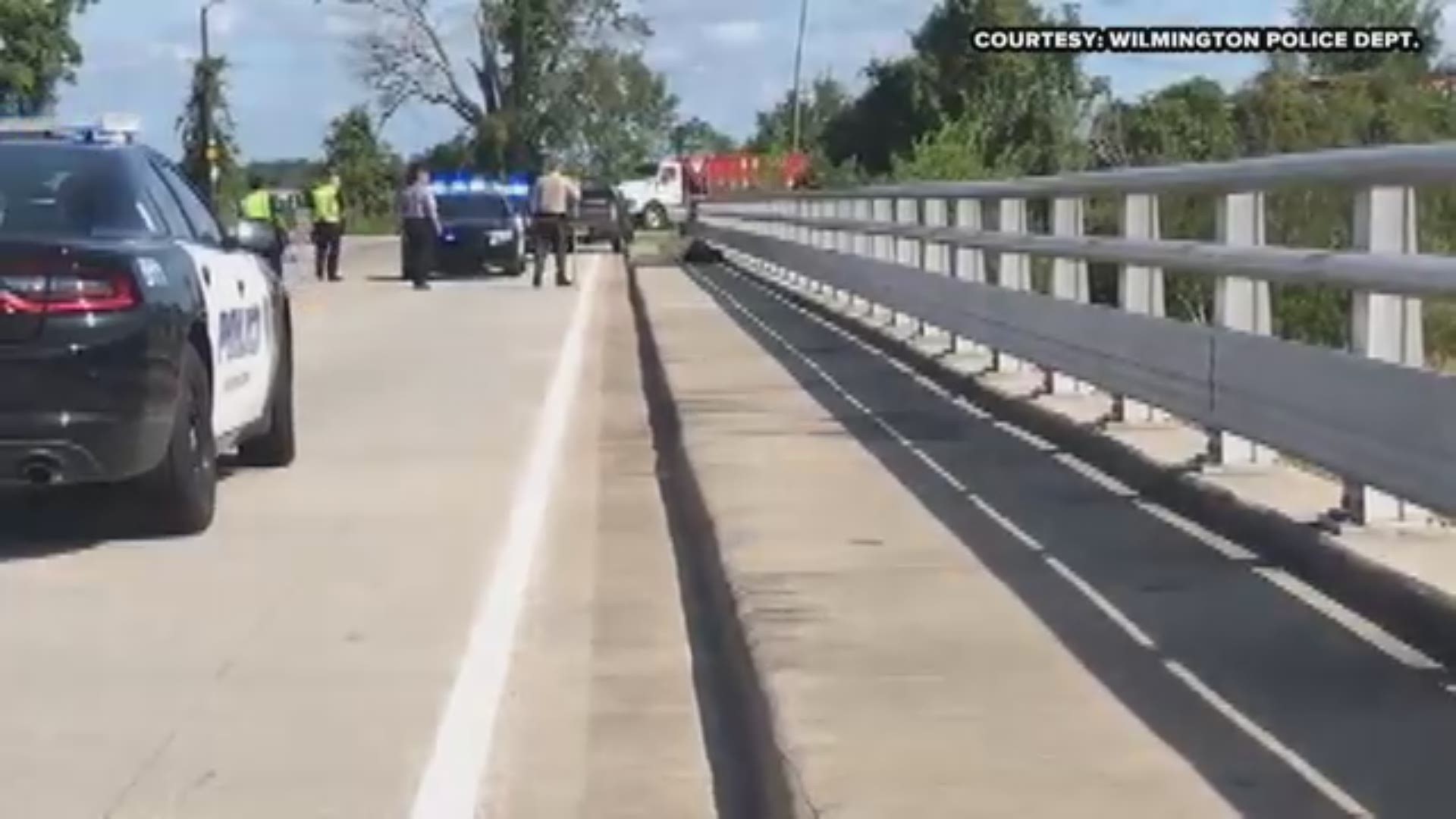 Drivers in Wilmington had to wait a little longer to get to their destination today after an unexpected visitor held up traffic. Wilmington Police posted video of the alligator round-up!