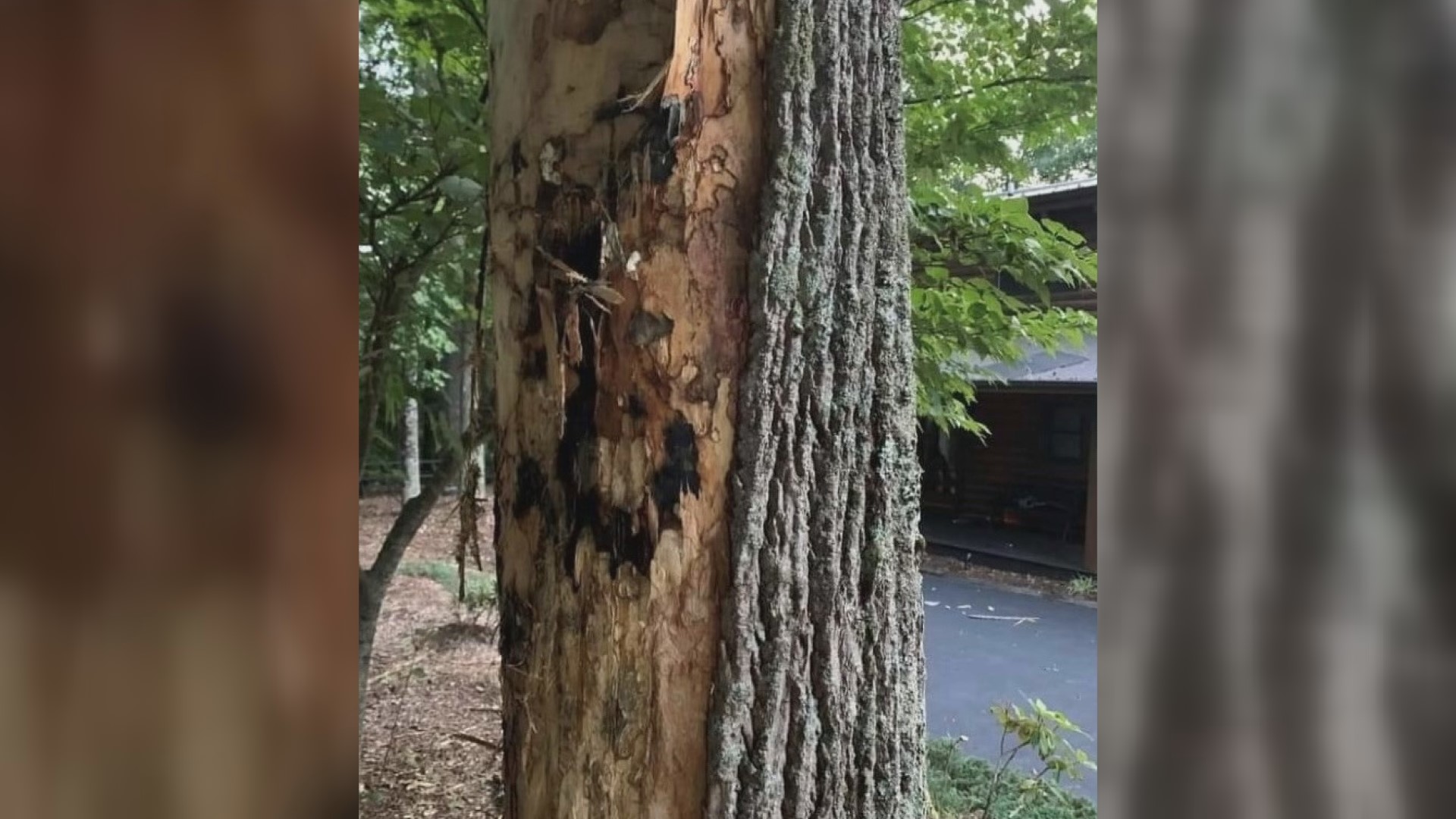 A couple in Wilkes County said lightning hit a tree near their home while they were sitting just 20 feet away and they caught it on camera.