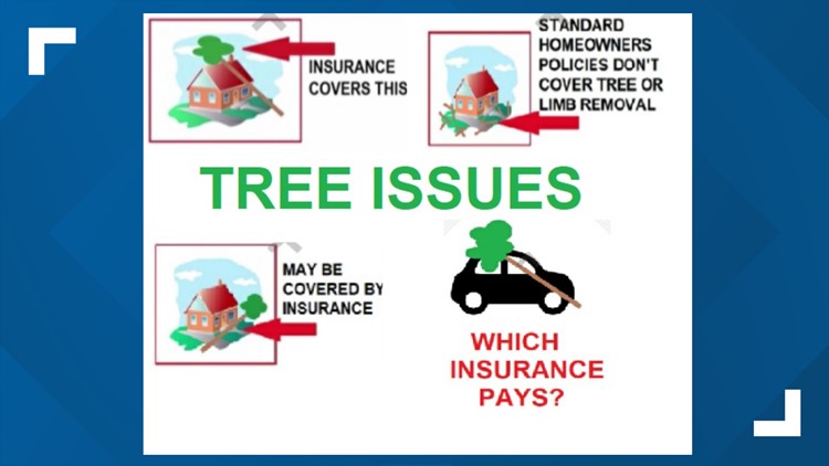 When a tree falls: What insurance pays for (and doesn't!)