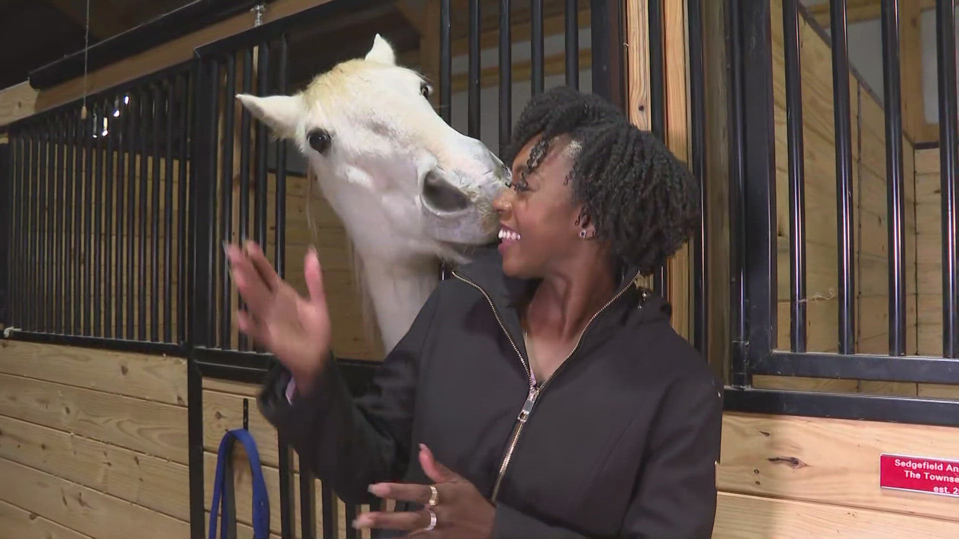 Red Dog Farm Animal Rescue Networks welcomes its new 12-stall barn.