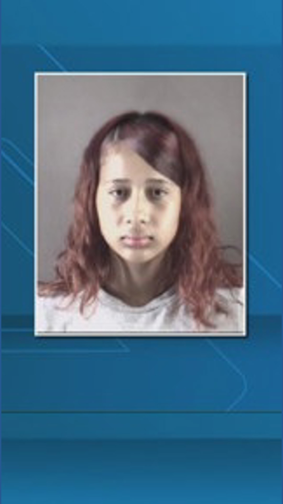 Latest two teens charged in Leinbach Park shooting appear in court ...