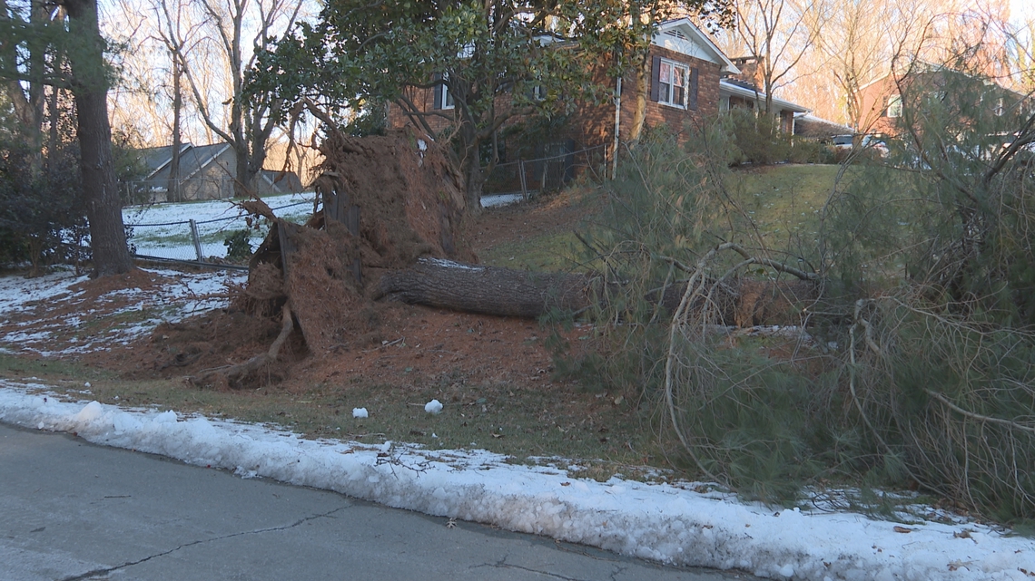 Fallen tree cuts power, damages homes during Triad windstorm