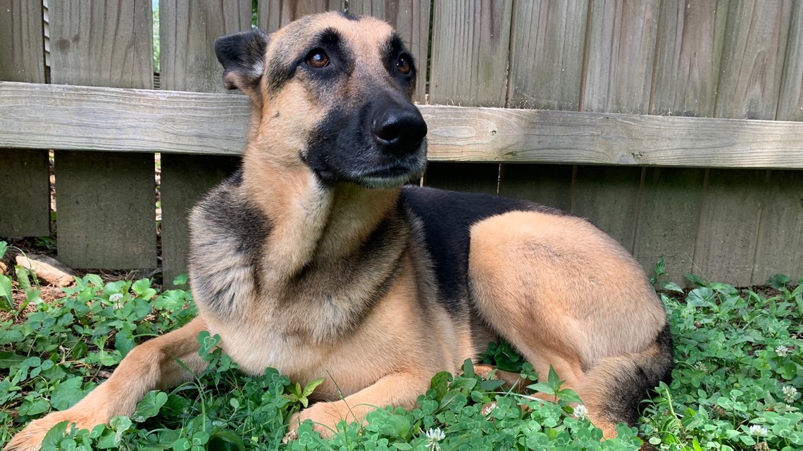 VERIFY Do Taste Buds Change Every Seven Years?