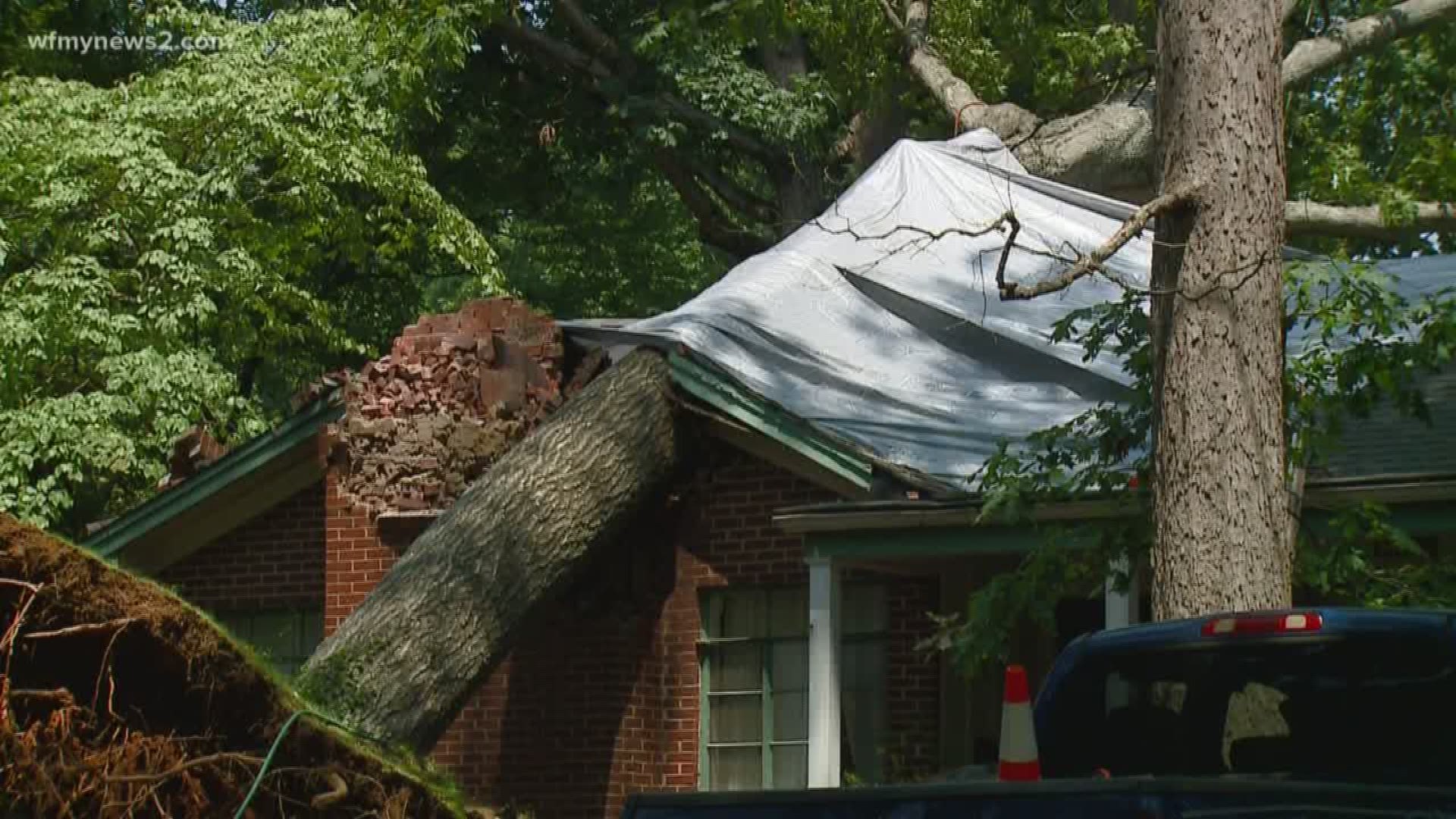 A tree service crew says they made need a crane to remove the tree that fell on a home on Kirby Drive in Greensboro.