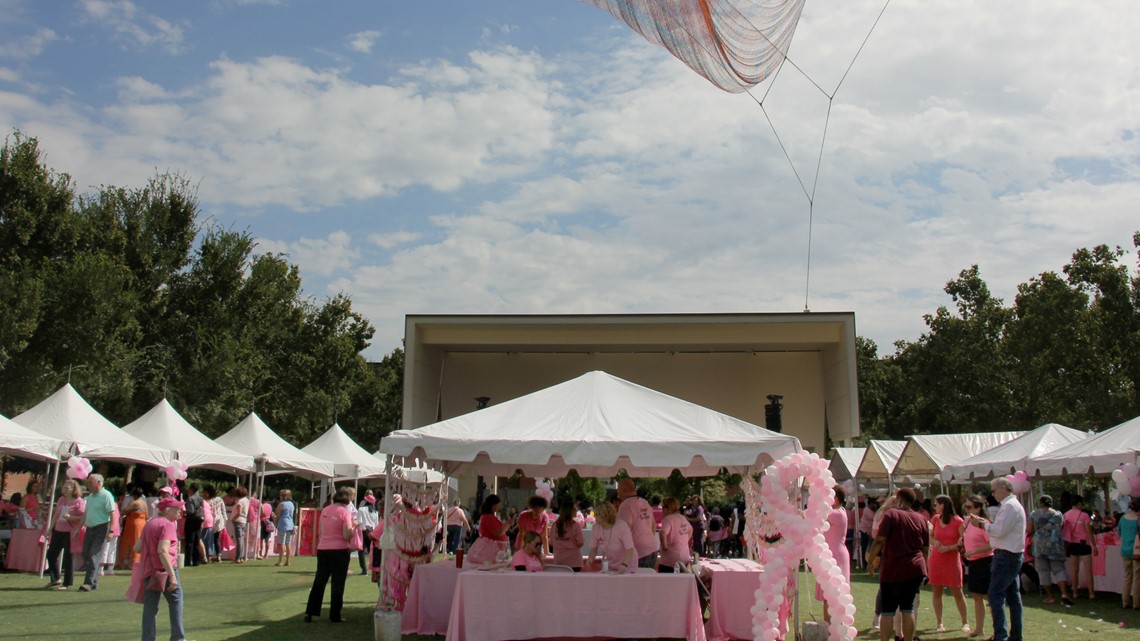 2022 Pink in the Park Celebration