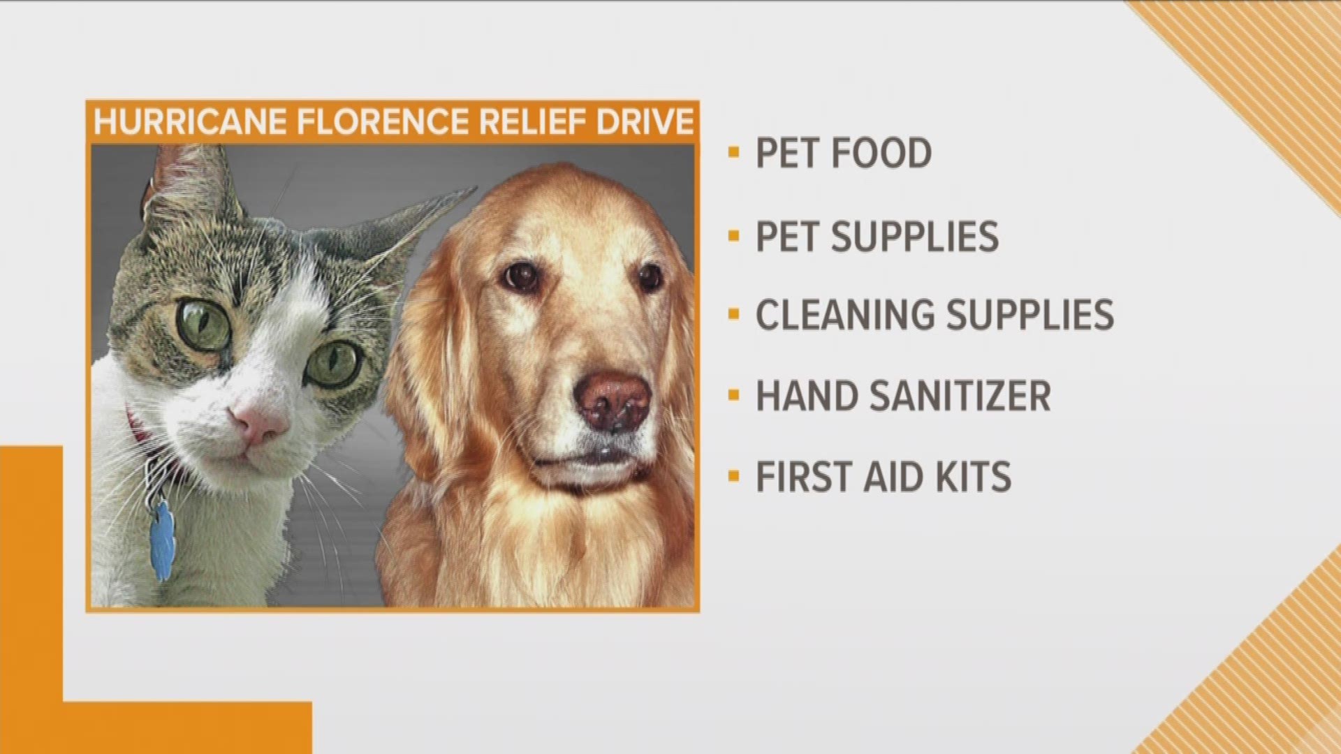 All Pets Considered Holding Donation Drive