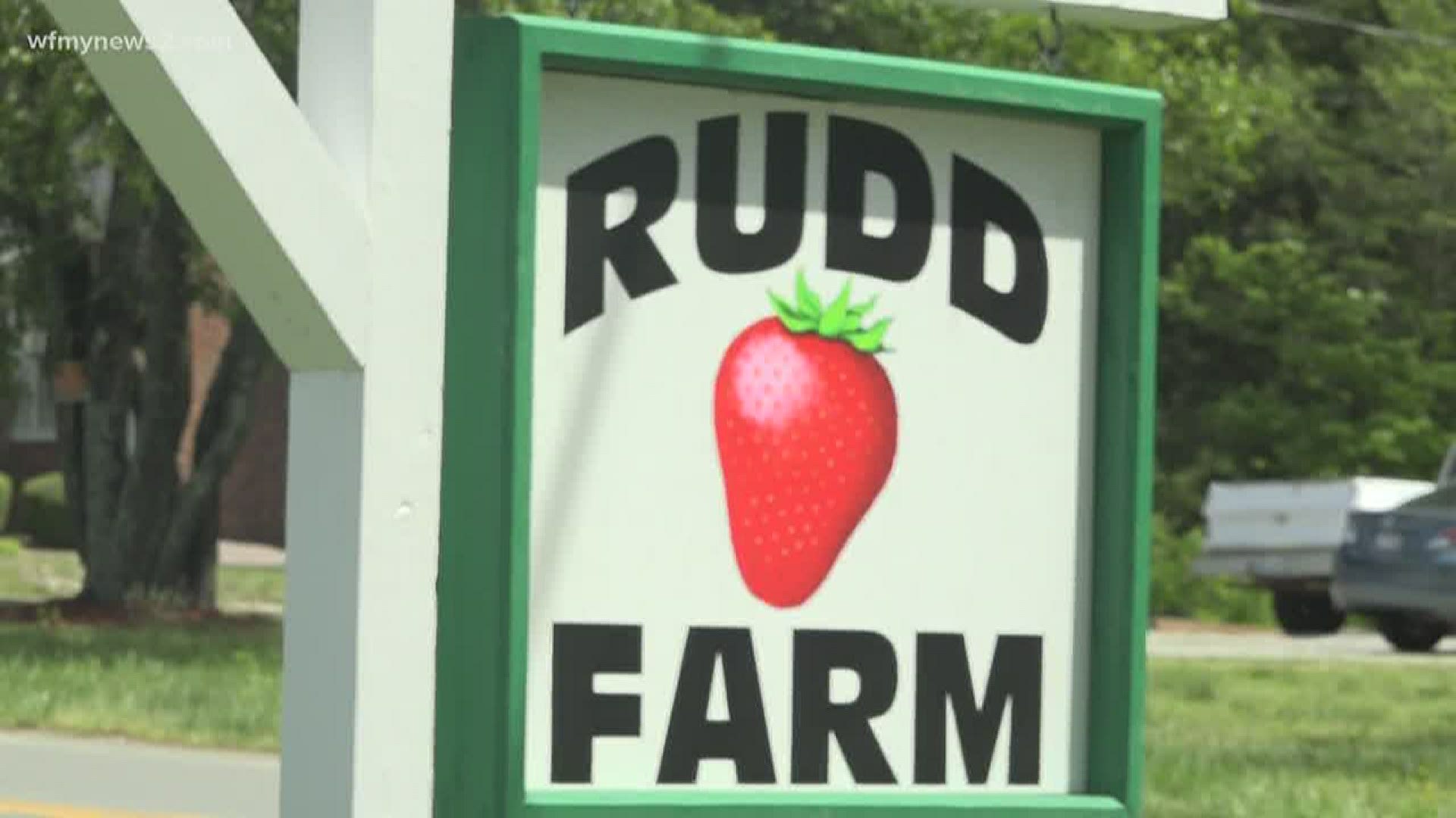 Several employees tested positive last week, putting a hold on strawberry picking.