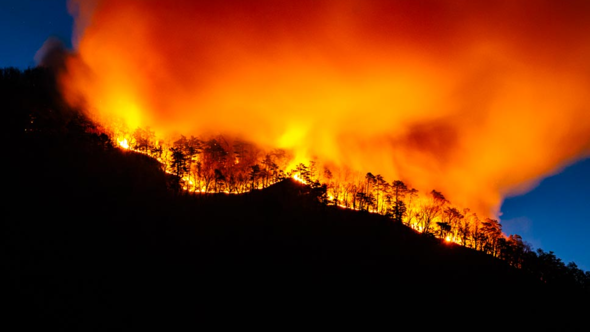 Sauratown Mountain on fire in Stokes County | wfmynews2.com