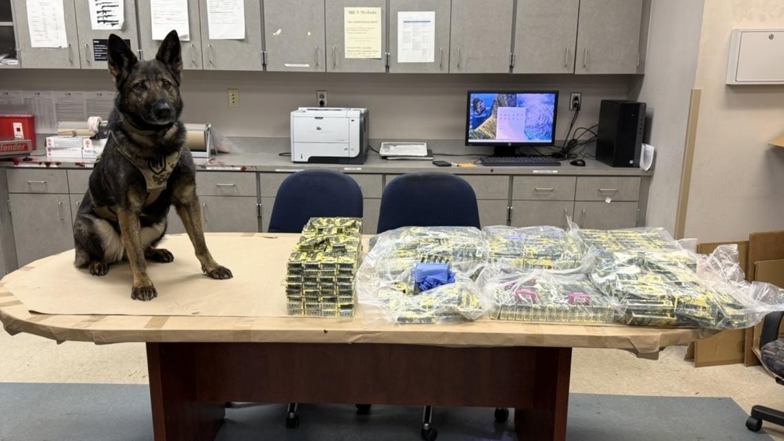Forsyth Co. drug task force seizes over $1 million of THC vape pens ...