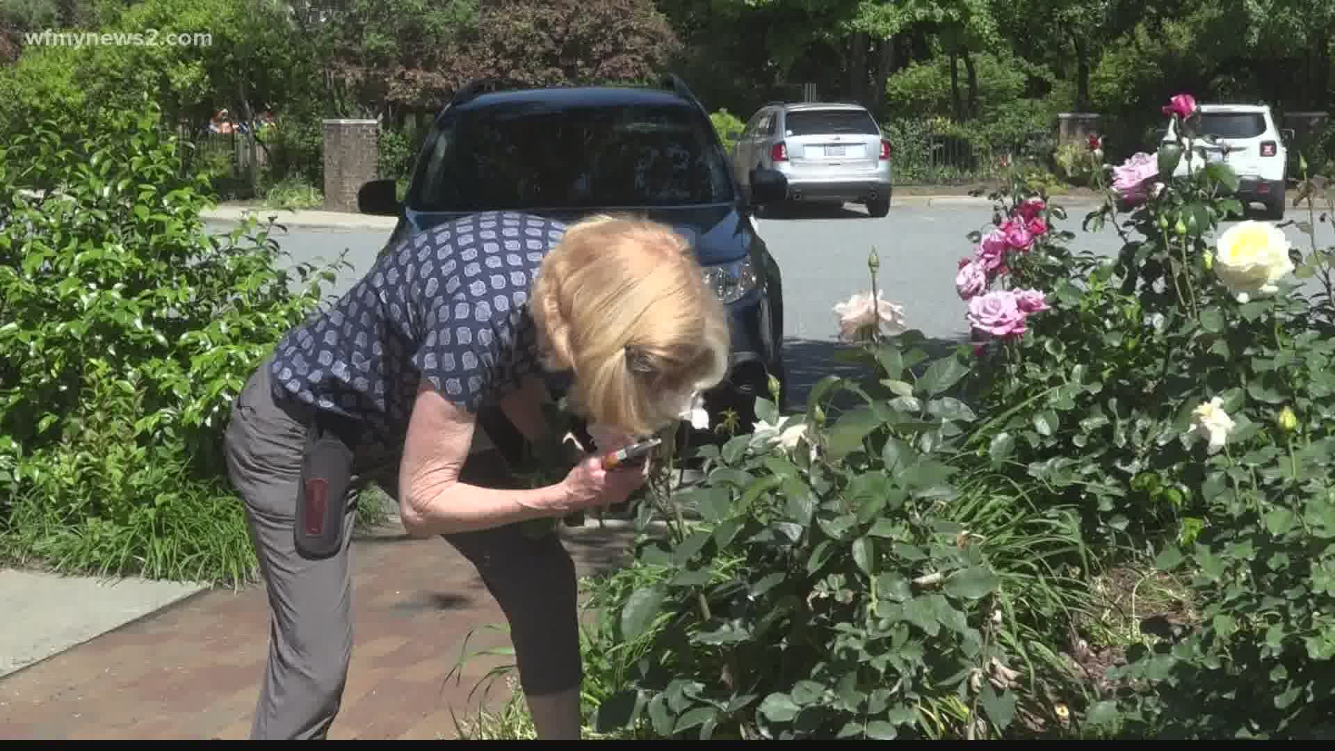 Plants and gardening are used to improve the mental and physical health of patients who are nearing the end of life.