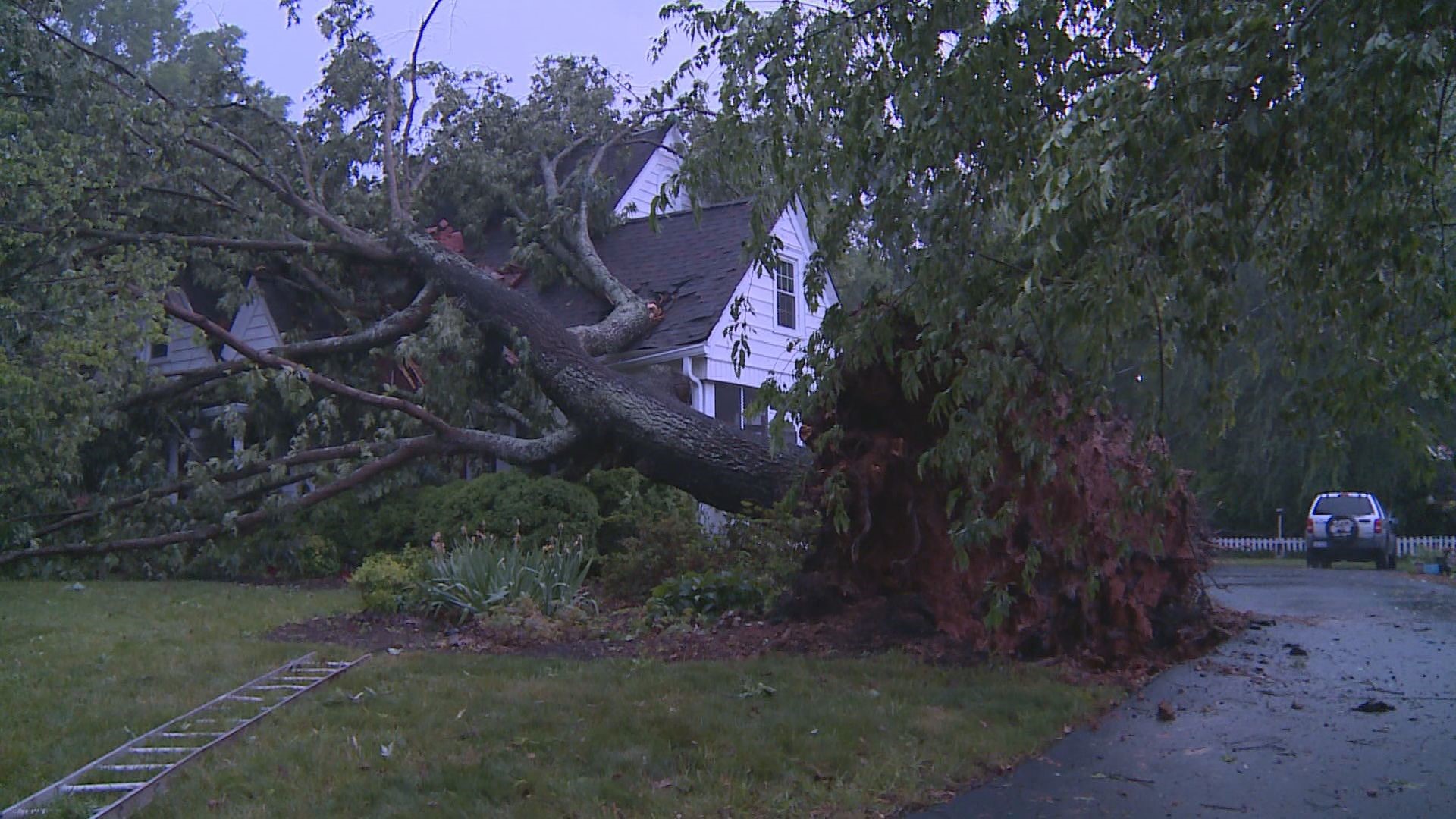 Storm knocks trees, power lines down all over Eden