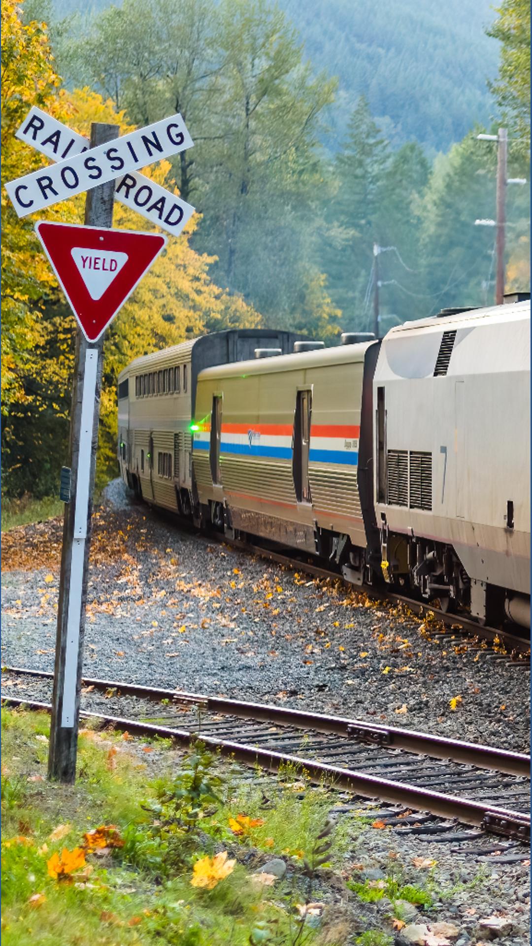 Thomasville man dies after being hit by Amtrak train in High Point ...