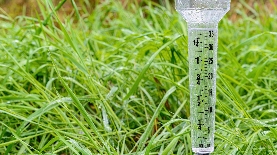 Is your lawn getting enough water? How to find out - Vimarsana News