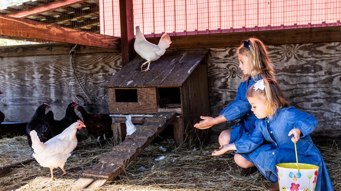 Saving farm animals is what they do | wfmynews2.com