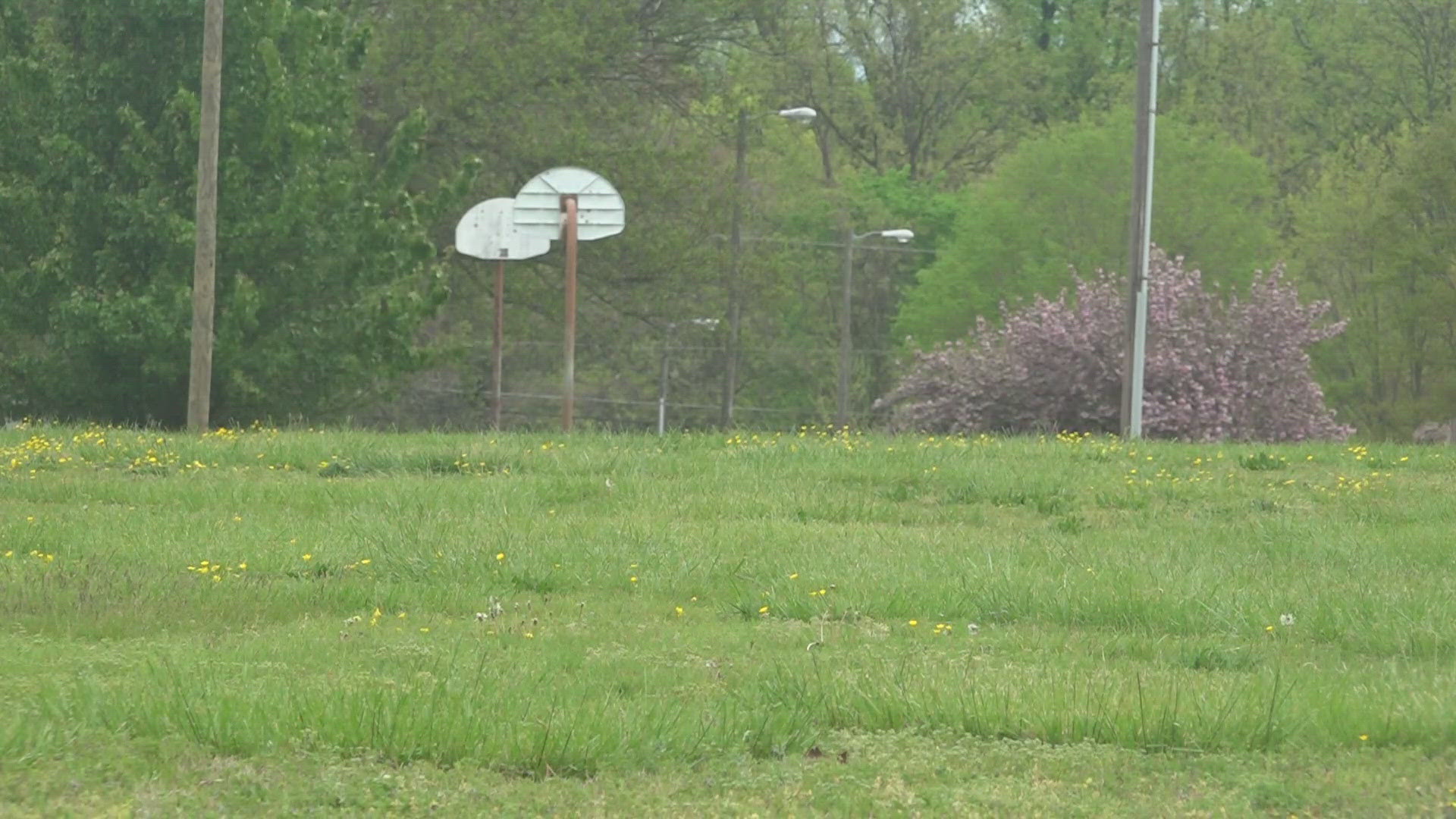 The city is weighing whether to stick soil from Bingham Park at the White Street landfill.