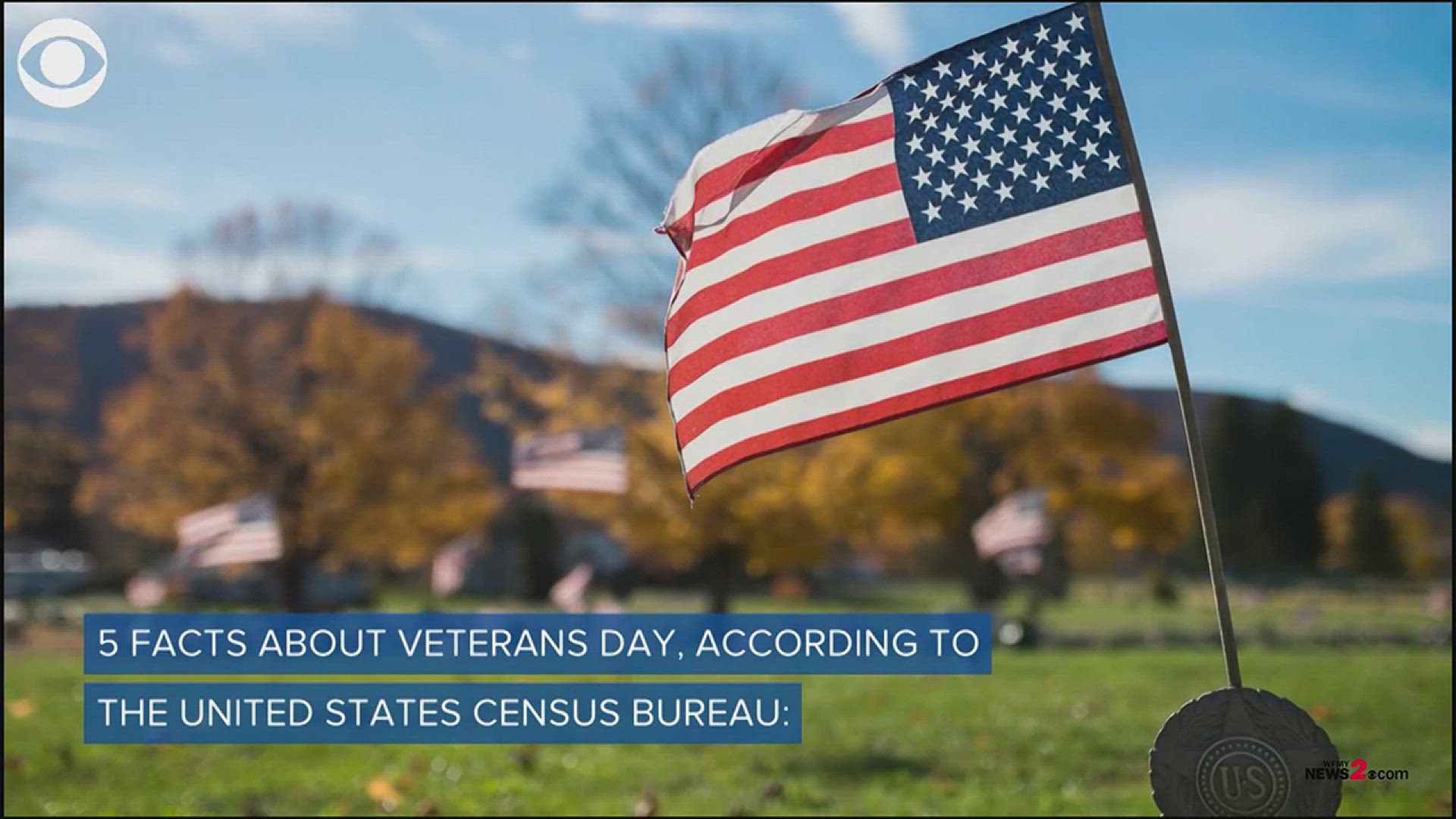 5 Facts You Should Know About Veterans Day