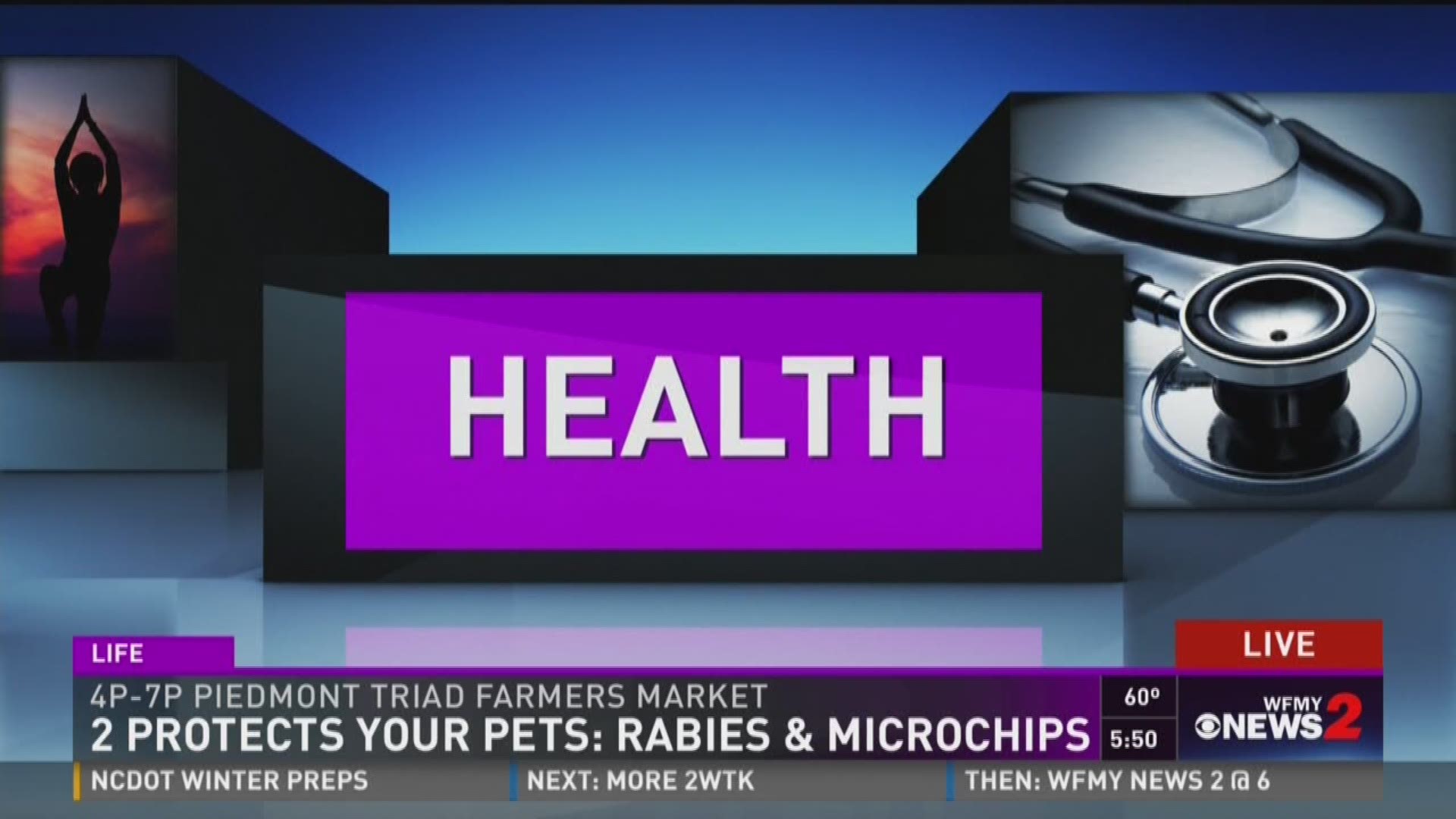 2 Protects Your Pets: Rabies Interview