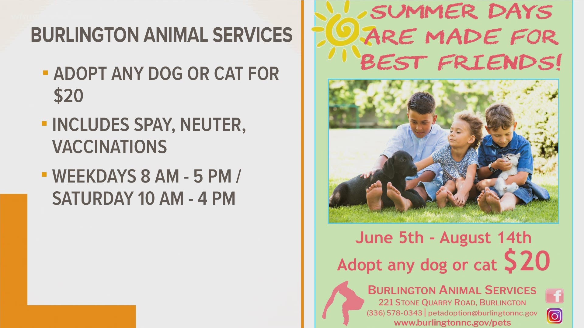 Burlington Animal Services Adoption Special 