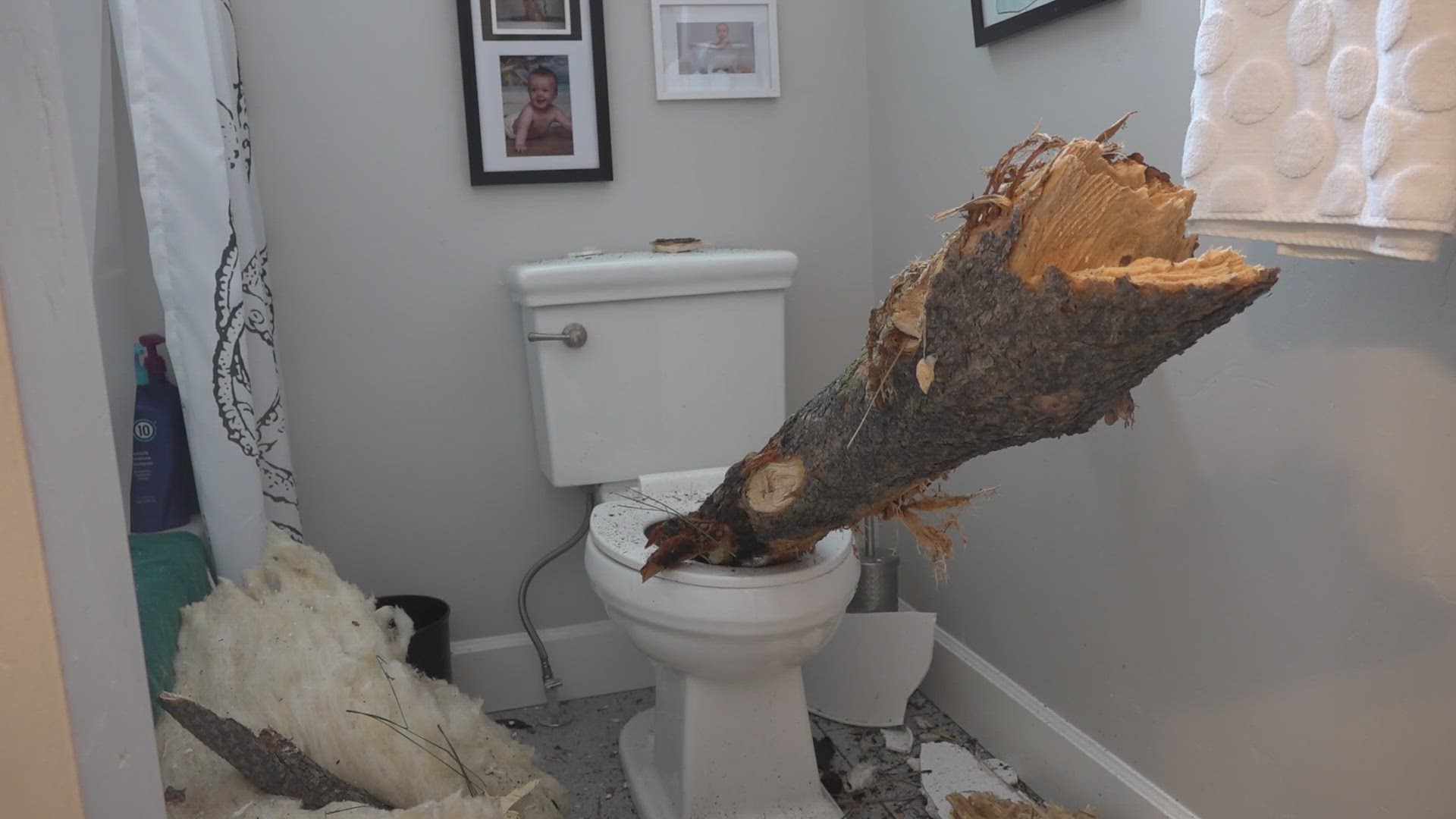 Check out where this tree trunk landed in someone's home!