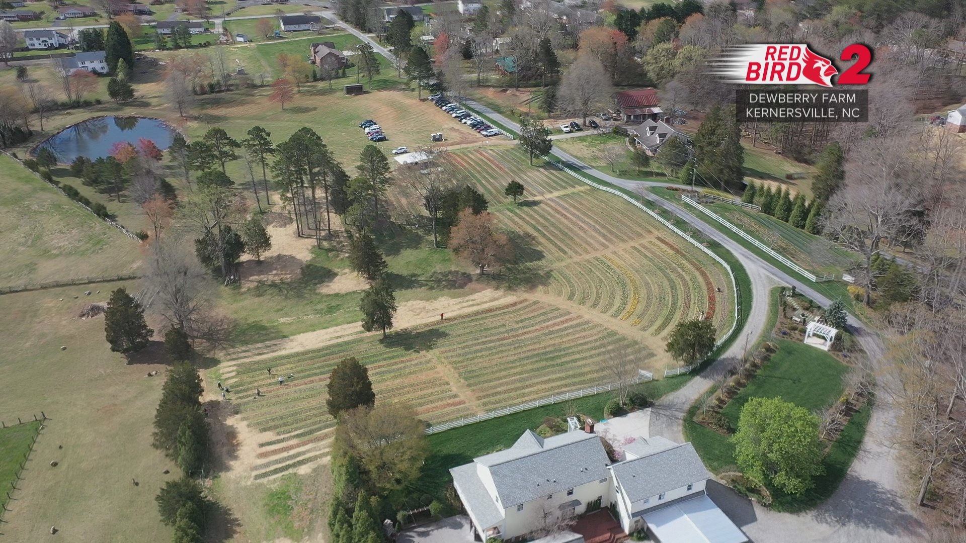 Take a moment to relax and smell the spring flowers at Dewberry Farm in Kernersville!