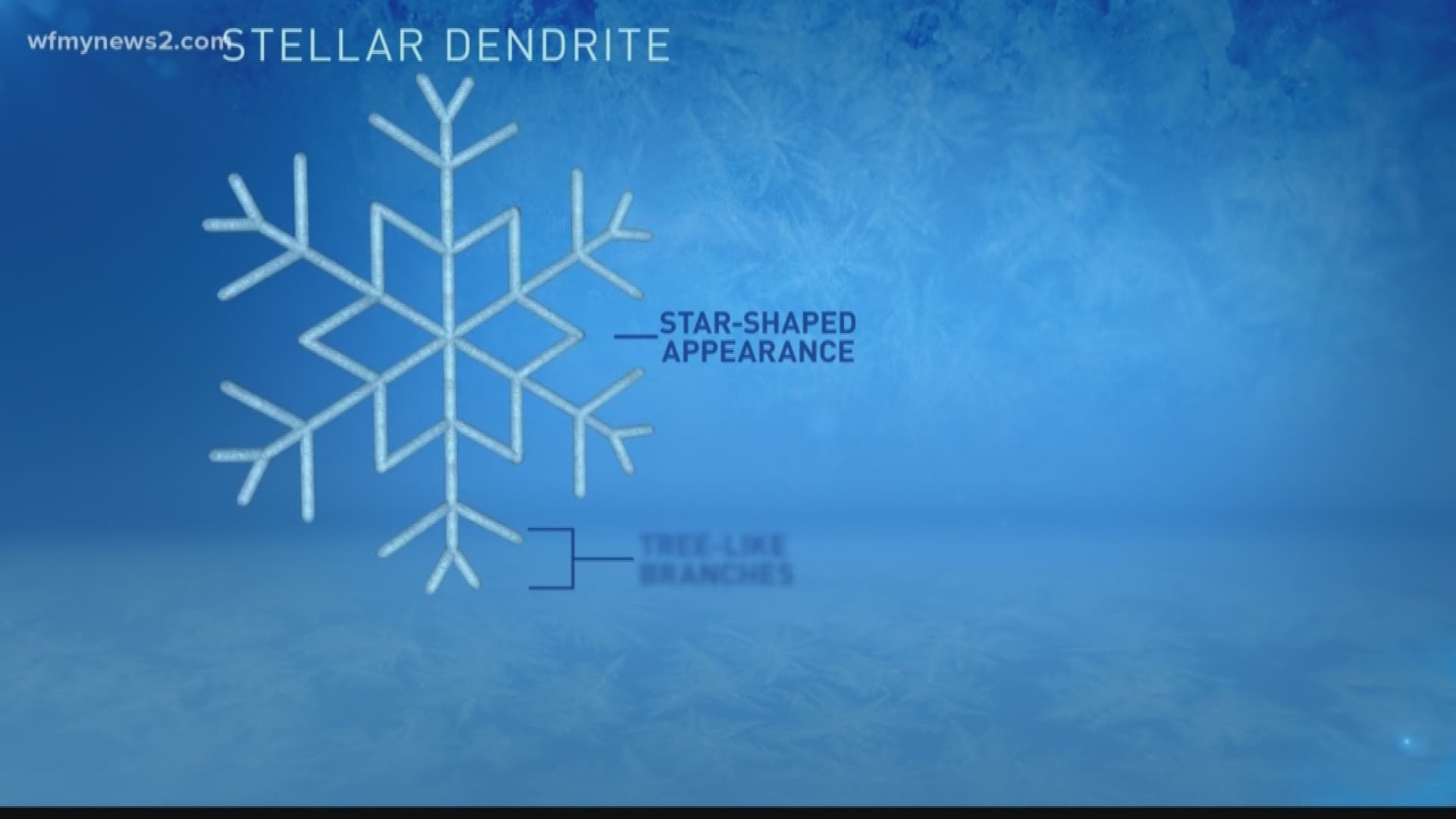 No two snowflakes are alike, so we take a closer look at what makes them so unique.