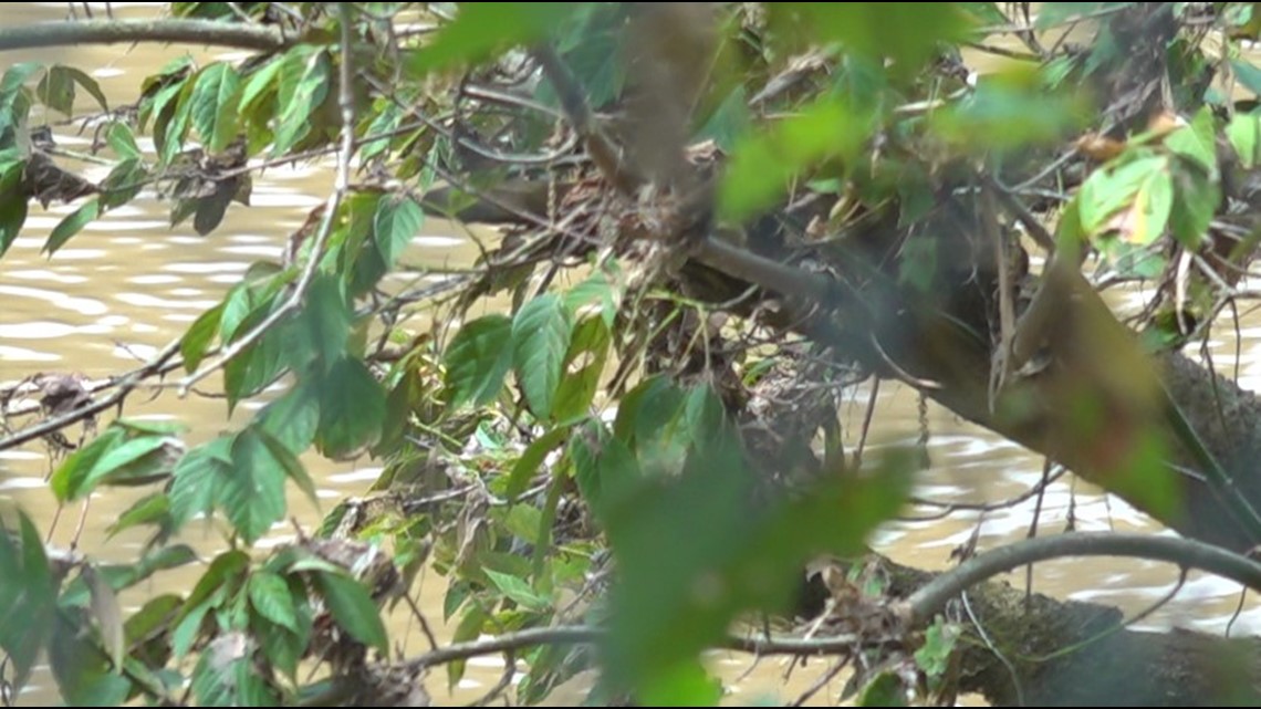 Wilkes County family stuck on river during storm - Vimarsana News