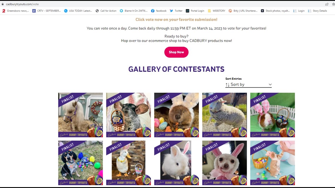 Help choose the next Cadbury Bunny animal. Voting ends March 14