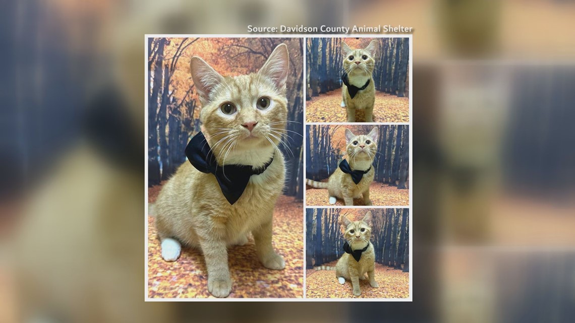 2 The Rescue: Meet Xion