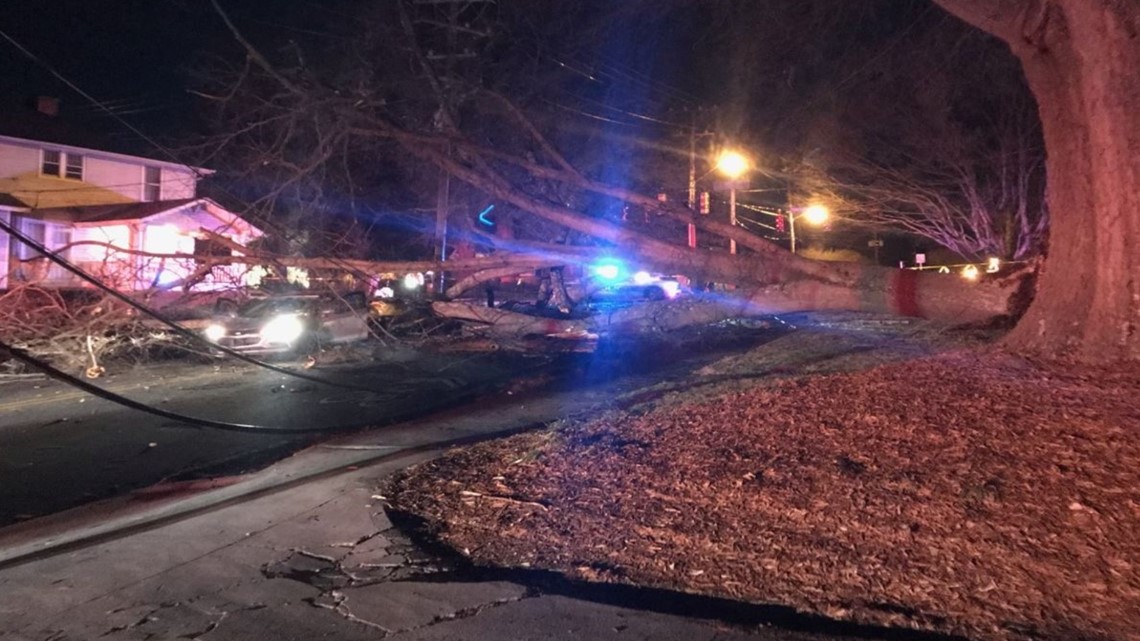 Winston-Salem road closed after tree falls - Vimarsana News