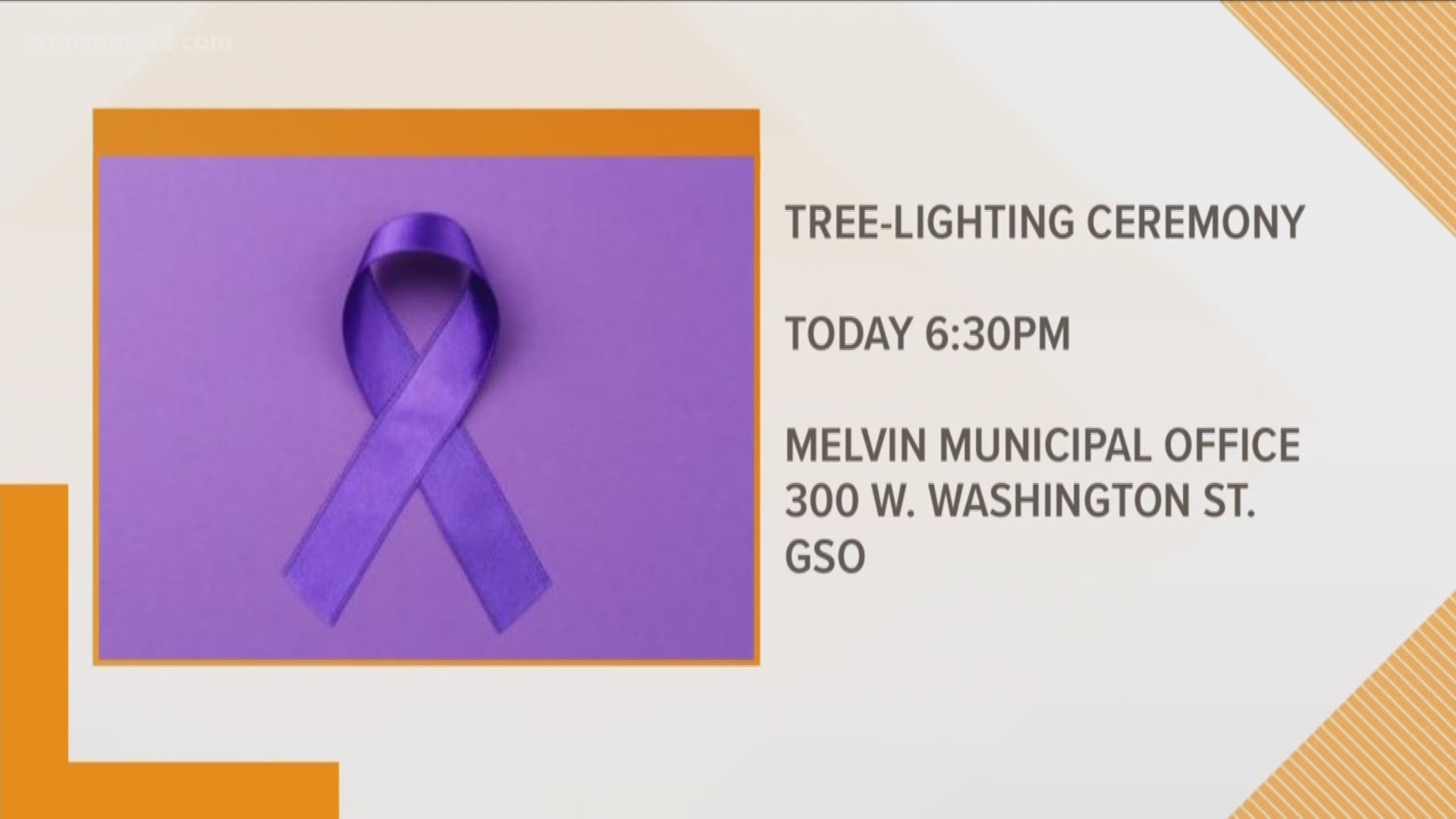 City of Greensboro holds purple tree lighting ceremony to recognize domestic abuse victims.