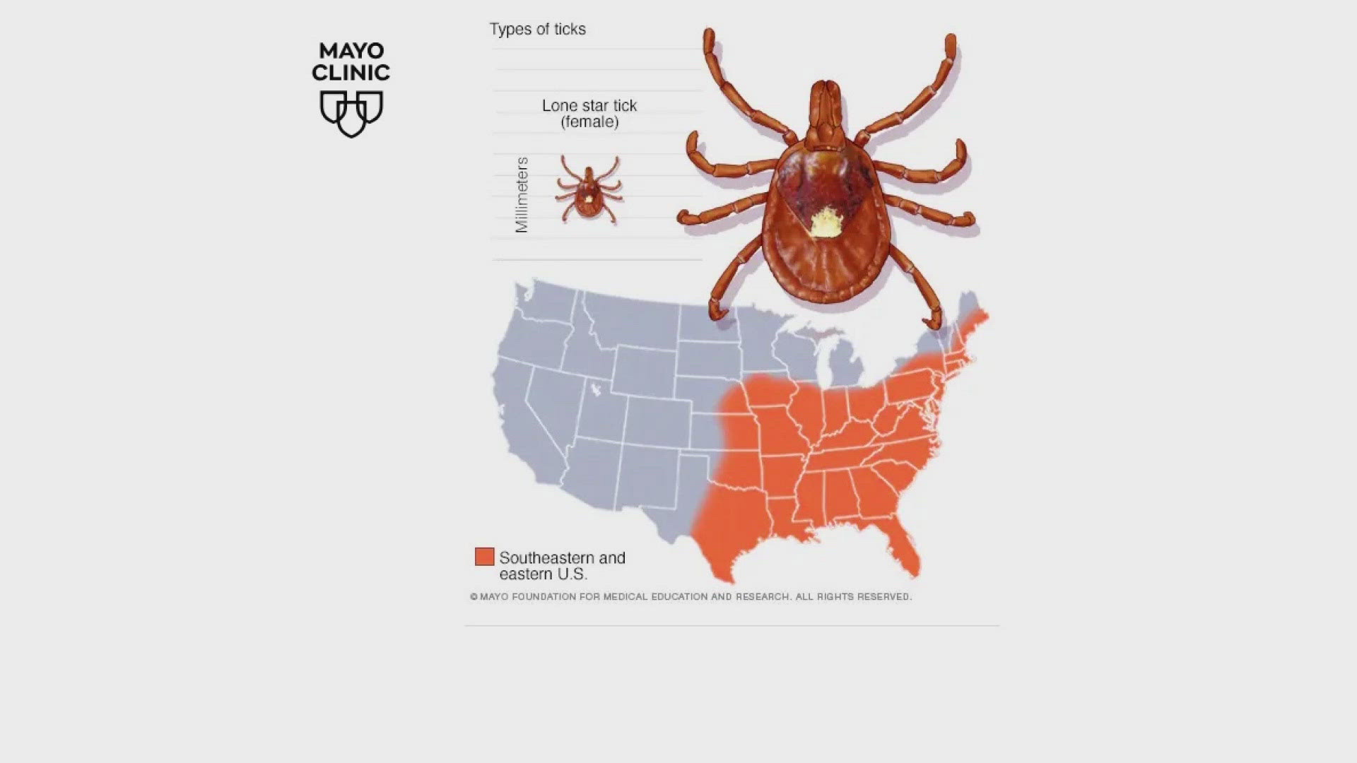 Lone star ticks can be found in almost half of the country.