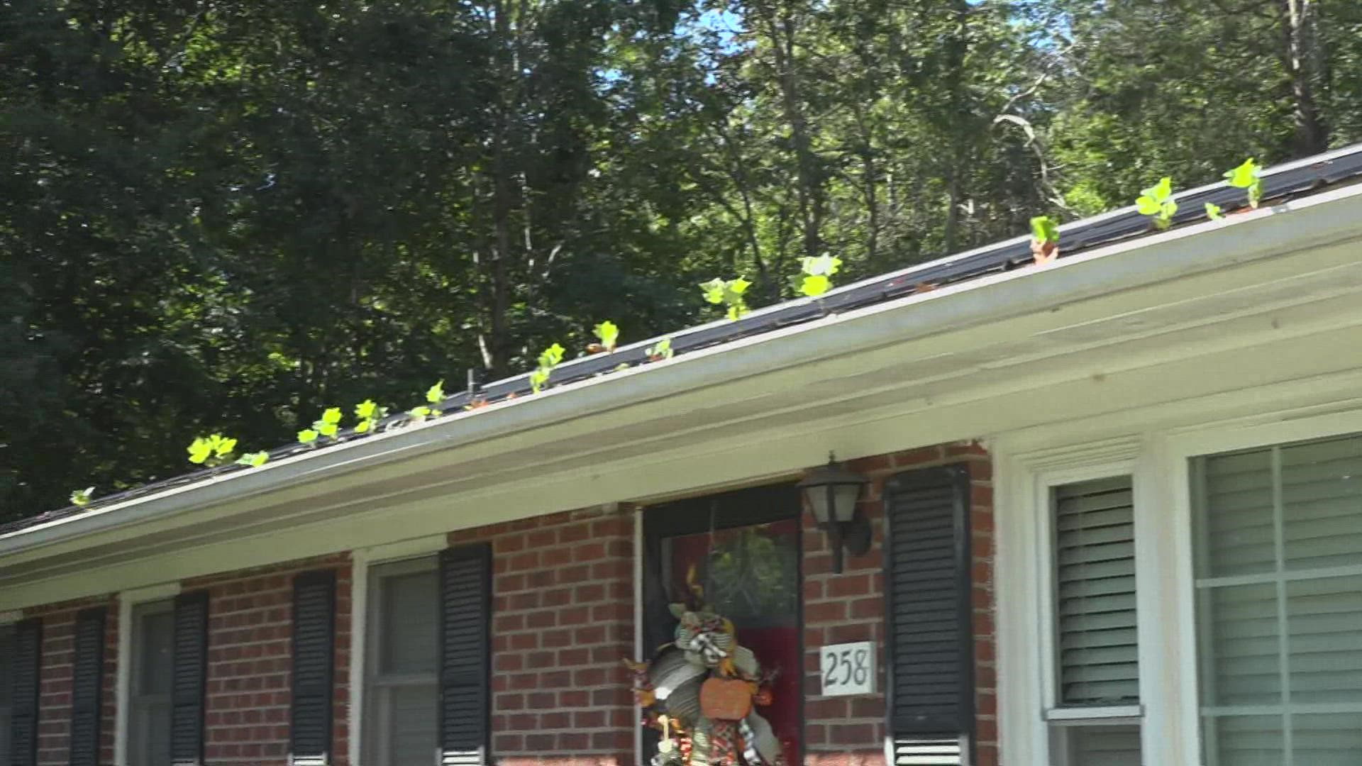 Cleaning your gutters and making sure your roof is up to par is important whenever storms strike.