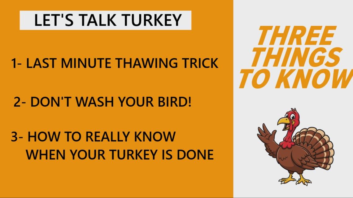 Turkey Talk: last-minute thawing trick, why you shouldn't wash your bird & how to know when the turkey is done