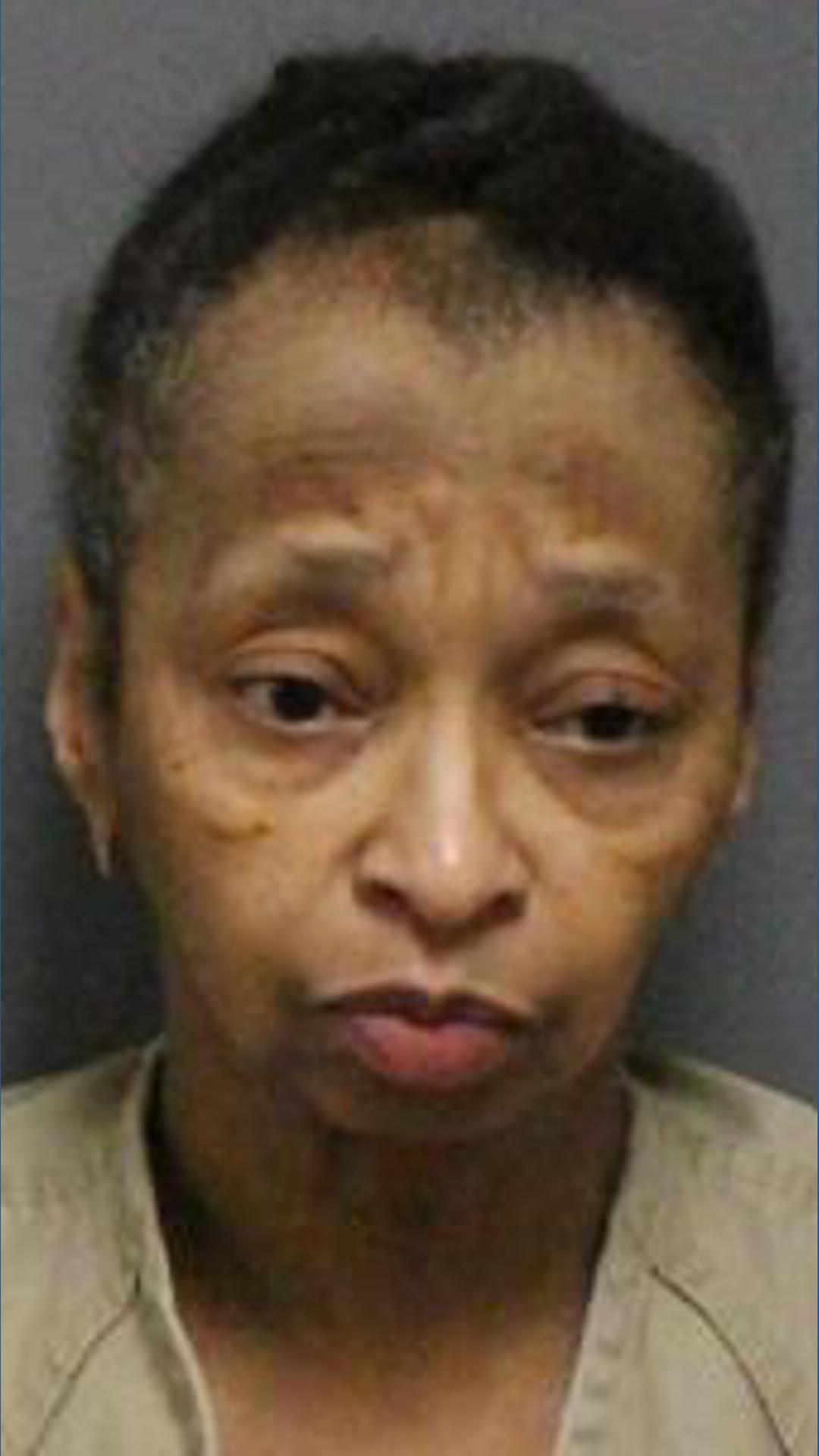 64-year-old woman arrested after stabbing person in domestic incident ...