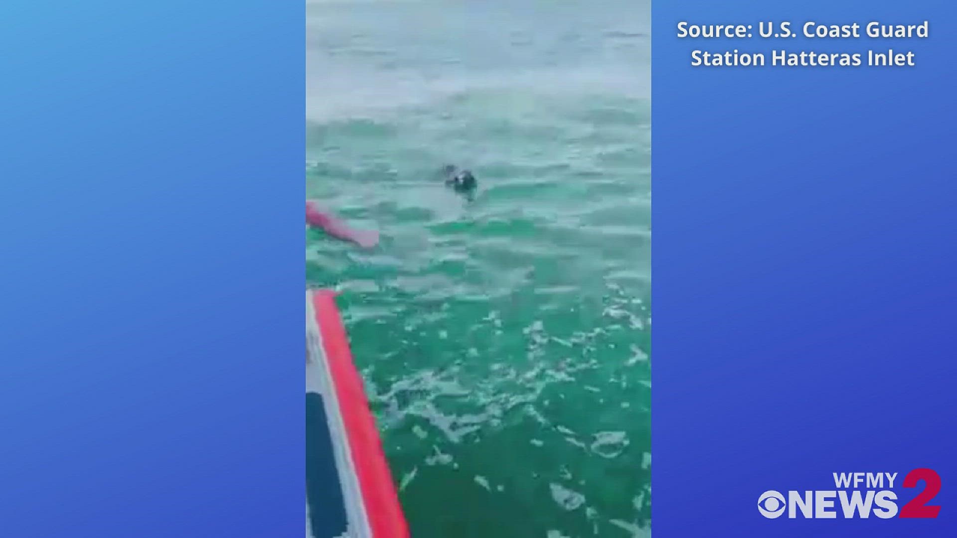 Coast Guard crews patrolling the Pamlico Sound received a call about a dog going overboard from a boat. Soon after, they spotted the dog and rescued her to safety.