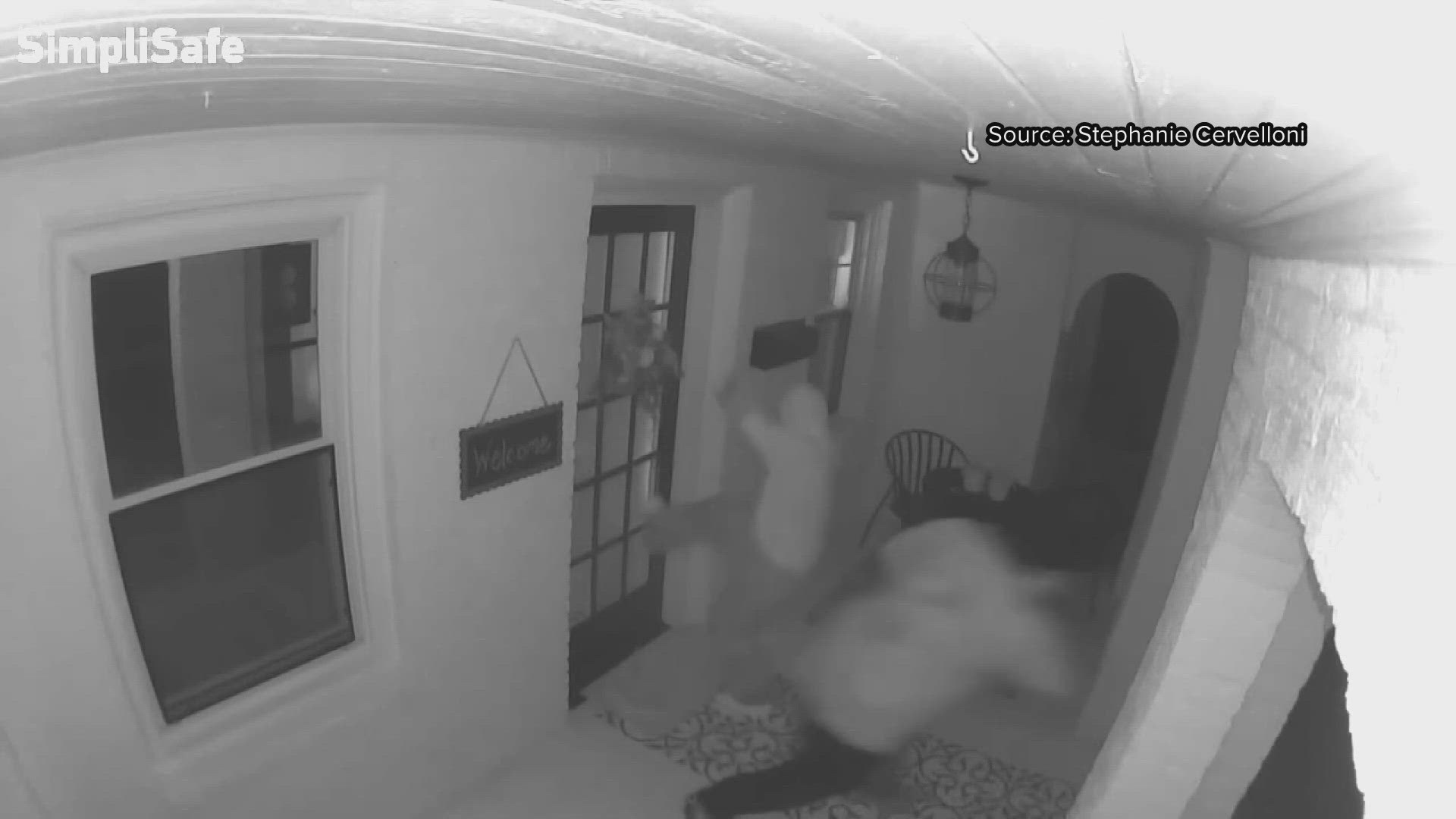 We caught some of the crimes on camera.