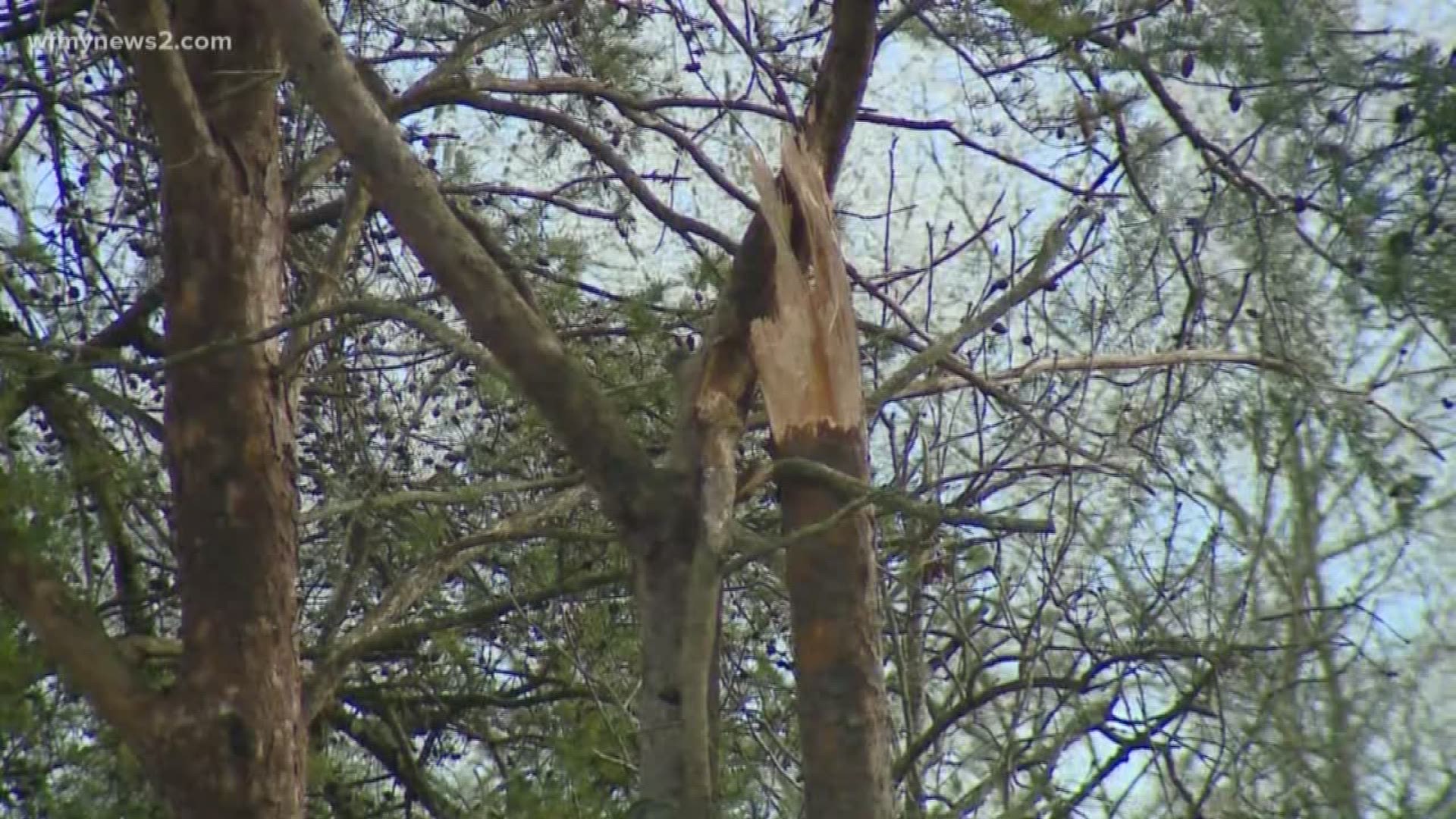 Power crews and tree services are busy Monday after icy conditions brought down trees and powerlines around the triad.