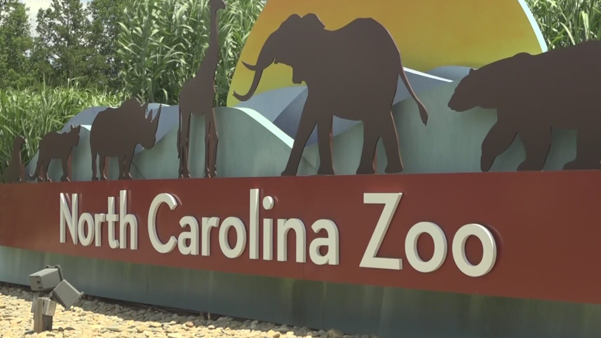 The Zoo in Asheboro has dozens of seasonal positions open. They need to fill them to keep all the exhibits open.