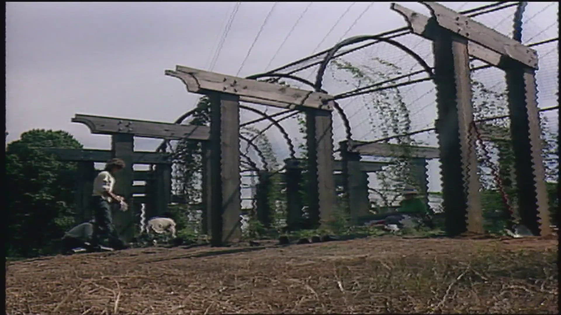 The Arboretum was nearing completion back in 1990.