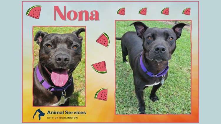 2 the Rescue: Meet Nona