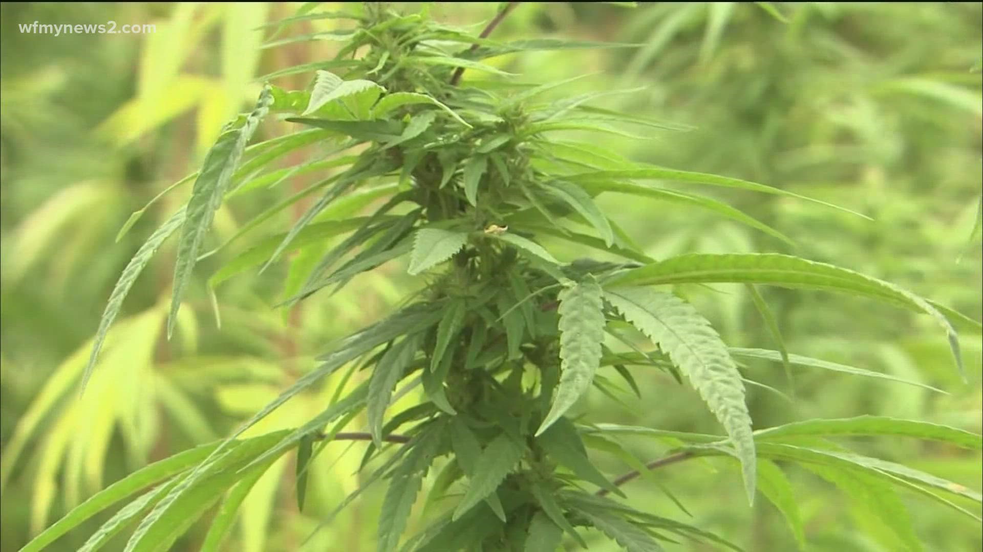 There are thousands of hemp-based products sold across the state but they could soon all become illegal.