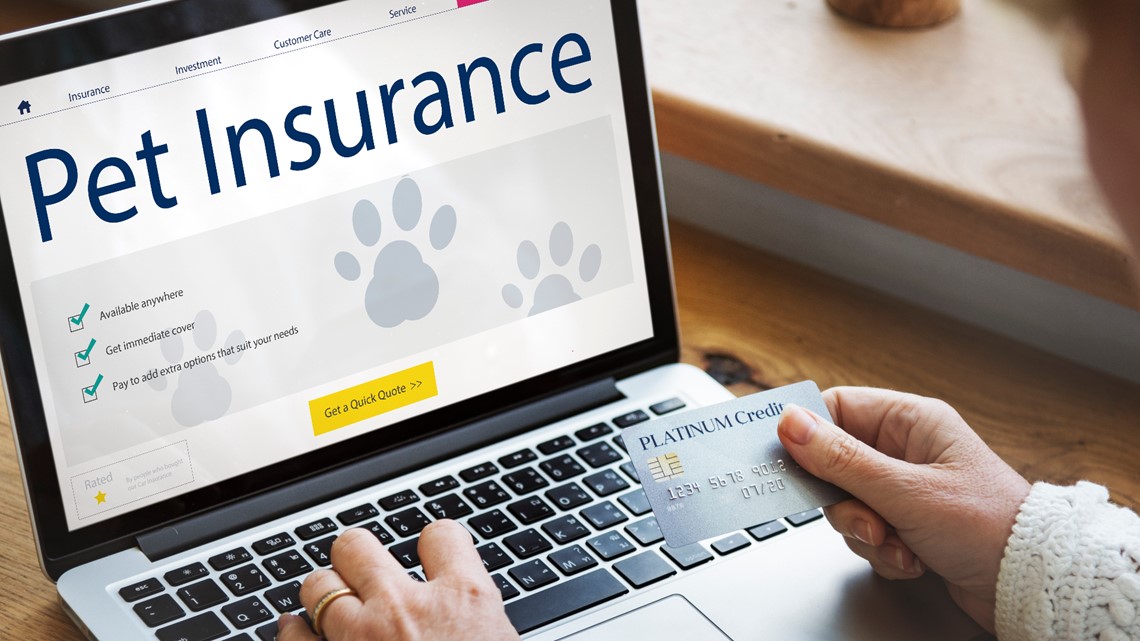 Is pet insurance worth it? | wfmynews2.com - Vimarsana News