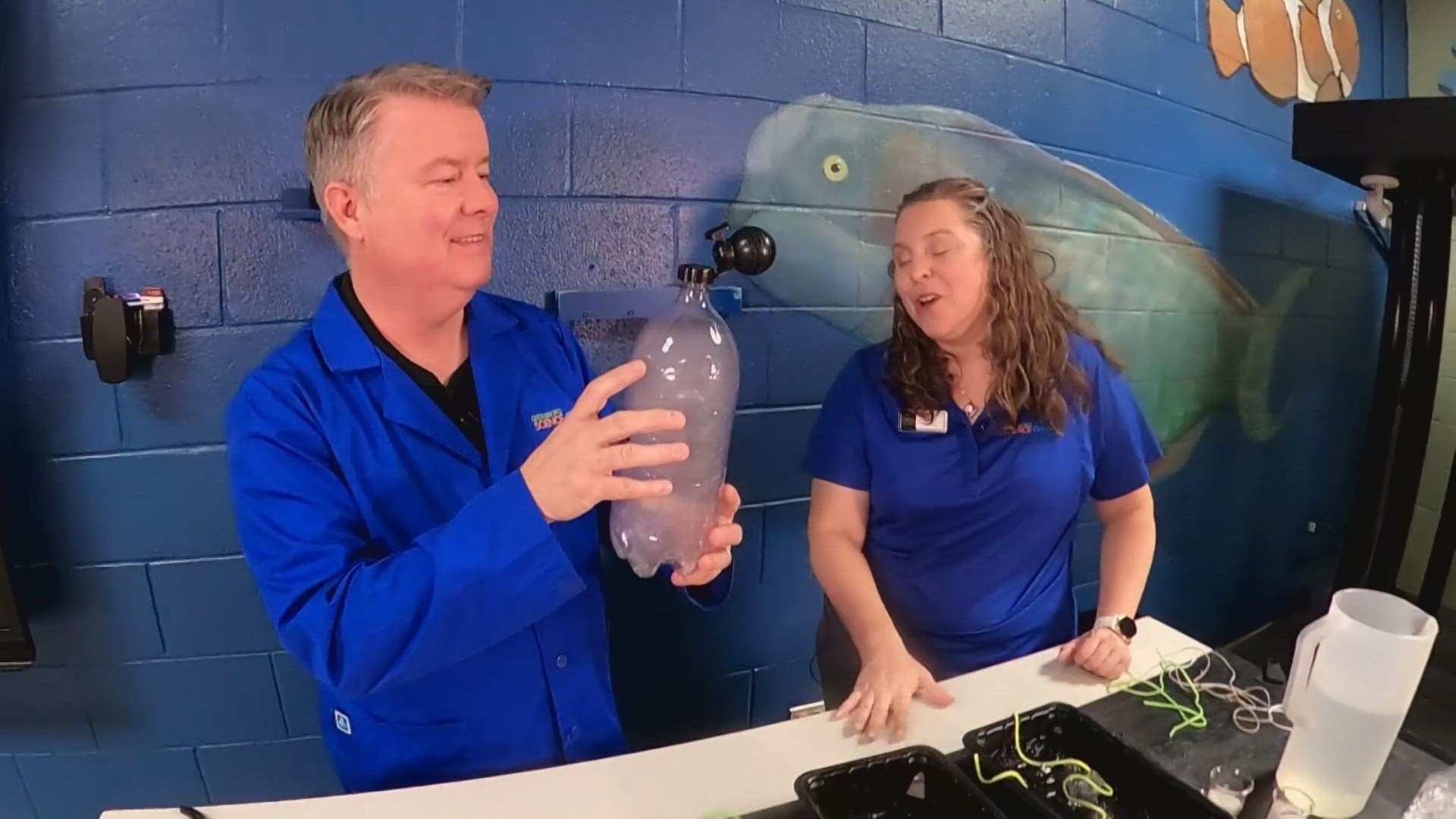 The Greensboro Science Center shares fresh content from DIY projects to animal adventures and behind-the-scenes fun, in its Science on the Spot Series.