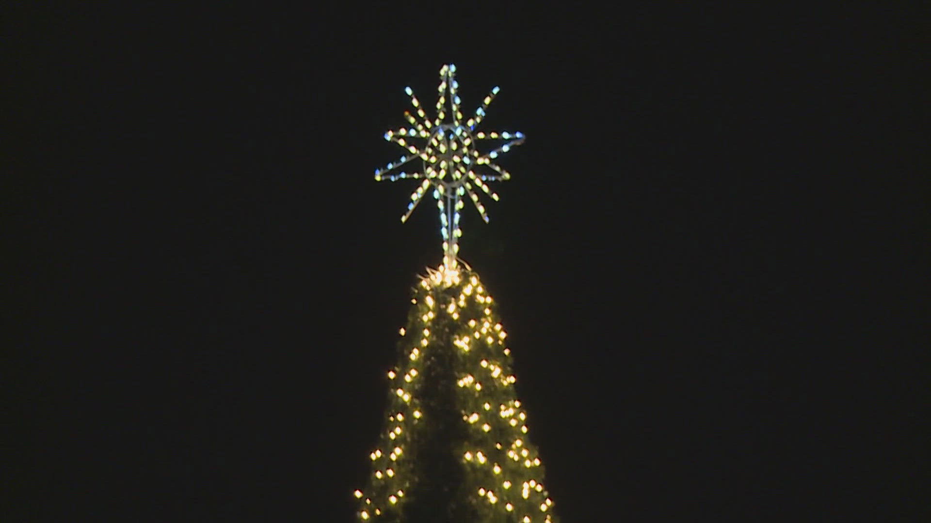 The event featured a community sing-along, food, and tree lighting.